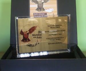 VUESTROS PAJARITOS GANARON AL FIN
