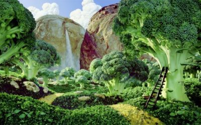 TU PEQUEÑO MUNDO: UNA ESPECIE DE AVATAR PARA LOS DE CUARTO