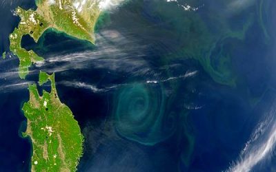 LA SOPA DE PLÁSTICOS