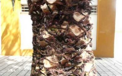 EL VÍDEO DE LOS SOLES