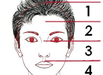 PROPORCIONES DEL ROSTRO