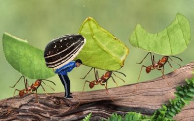 MINIMUNDO PARA PRESENTARME