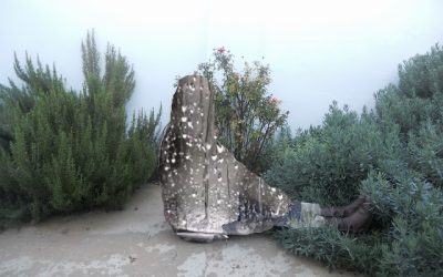 QUE TENGO EN LA CABEZA II