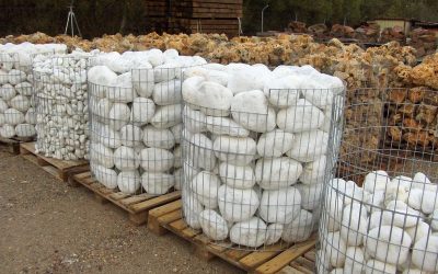 SIMETRÍA RADIAL EN UNA PIEDRA