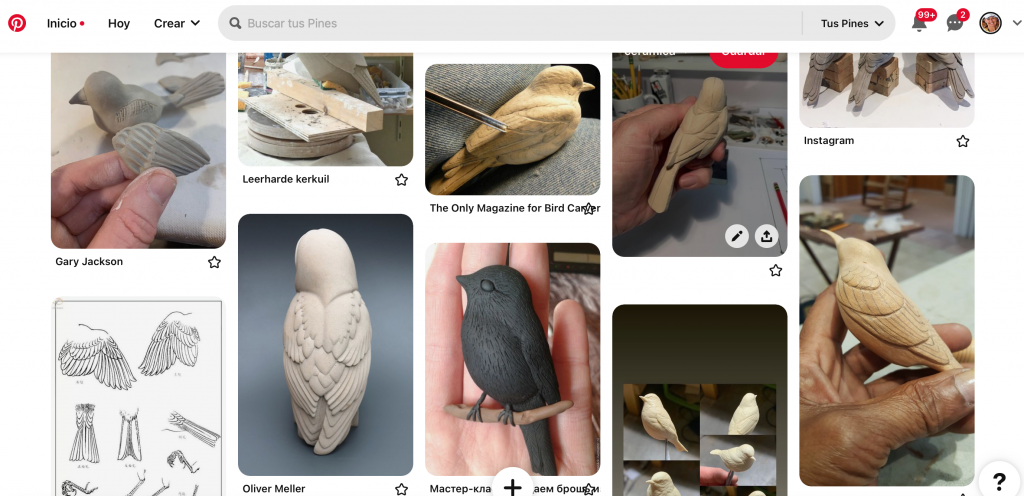 tablero de Pinterest con selección  imágenes para el modelado de las aves